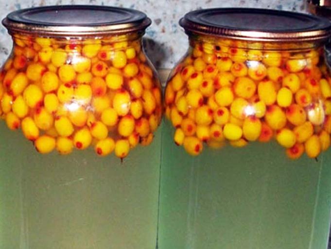 Компот из облепихи — простые рецепты компотов на зиму и свежих морсов