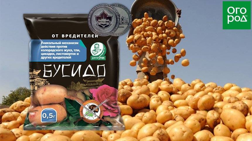 Киллер от колорадского жука: инструкция по применению