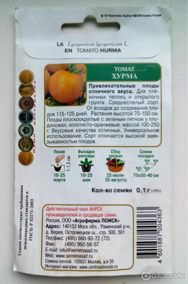 Томат хурма - особенности выращивания и описание томата (фото + видео)