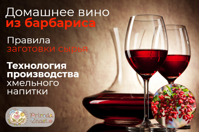 Секреты и рецепты приготовления вина в домашних условиях