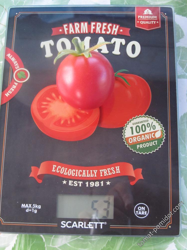 Рассада помидор: как посеять и вырастить томат в домашних условиях (120 фото)