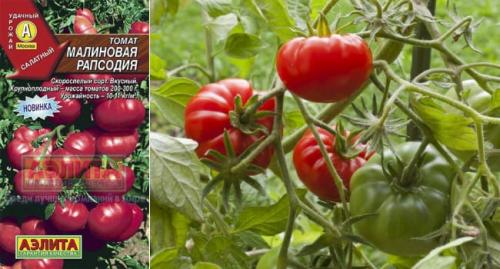 Эволюция для вашей теплицы. описание розовоплодного биф-томата и советы по агротехнике