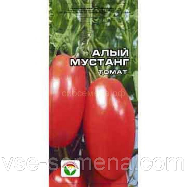Характеристика томата алый мустанг и выращивание рассадным методом
