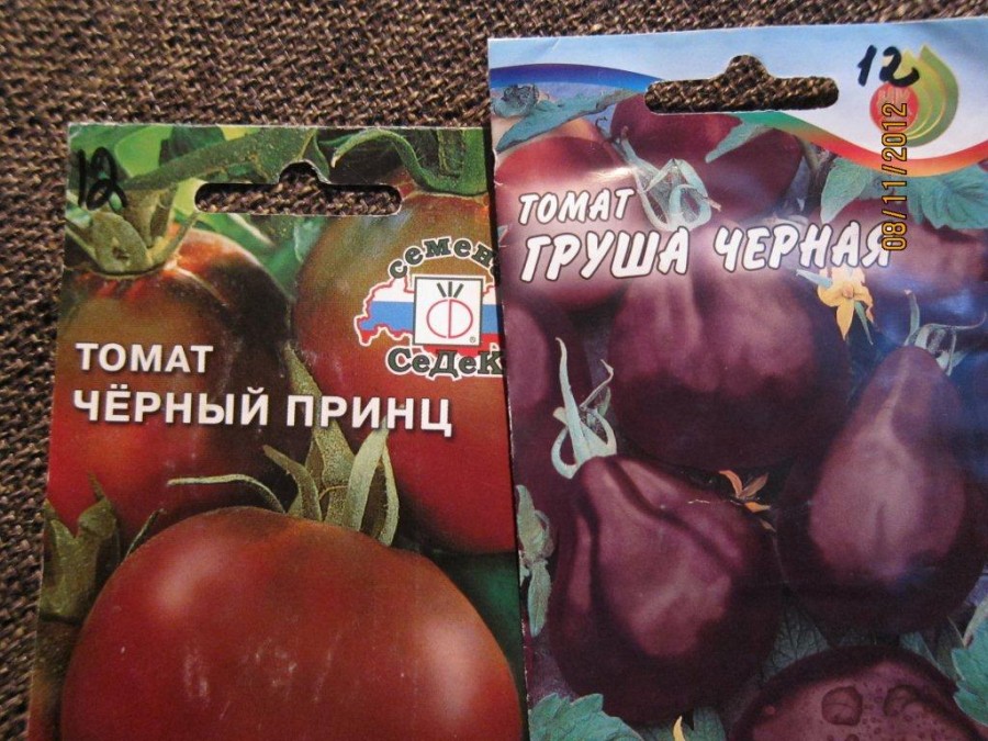 Томат черный принц: отзывы, фото, описание оригинального сорта помидоров, урожайность, посадка и уход, особенности выращивания