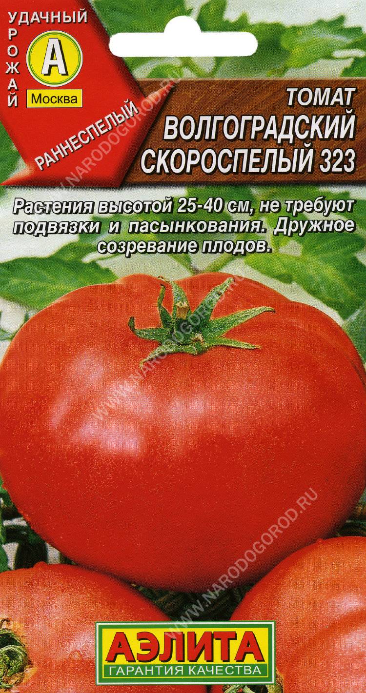 Описание сорта томата ленинградский скороспелый, его характеристика и урожайность