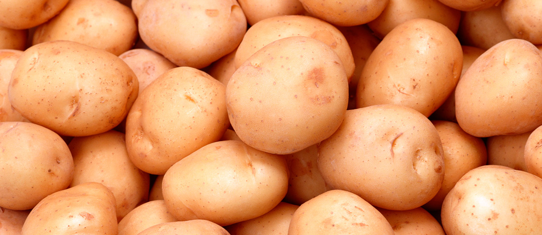 Голубизна: один из лучших сортов картофеля