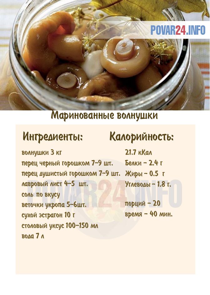 Как мариновать свинушки: рецепты заготовки грибов на зиму