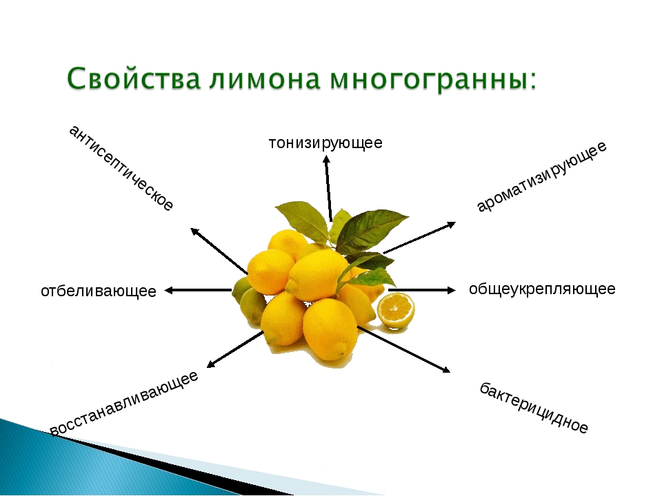Лимон. польза лимонов для организма человека