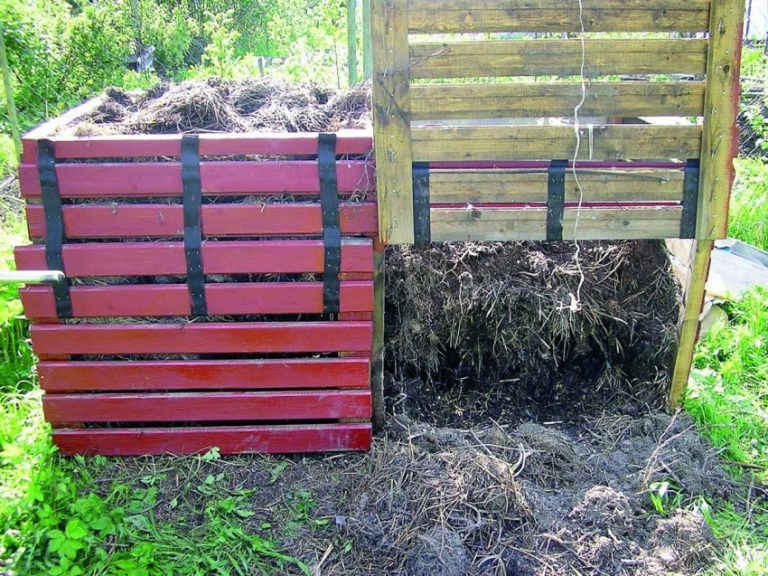 Компост из скошенной травы: способы приготовления и применения на даче