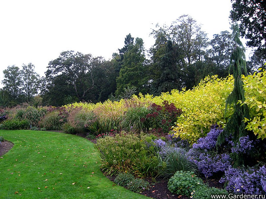 Английский сад ландшафтный дизайн: идеи с фото