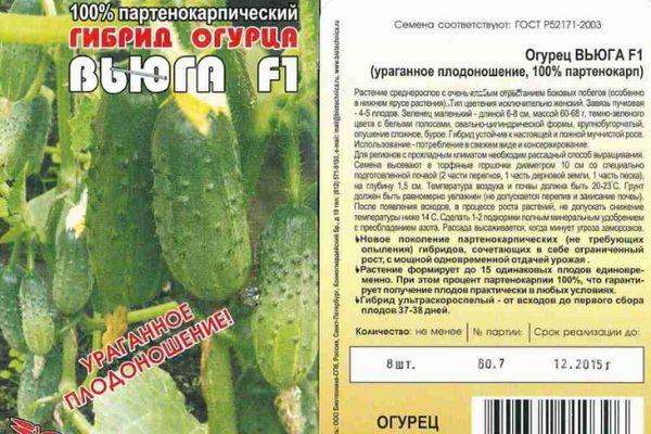 Огурец примадонна f1: описание и характеристика сорта, урожайность с фото