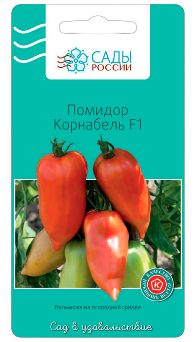 Описание гибридного томата Корнабель и выращивание сорта рассадным способом