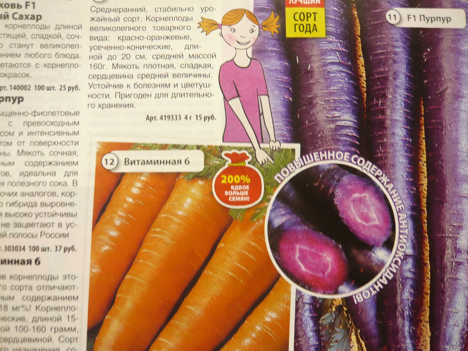 Польза для здоровья фиолетовой моркови