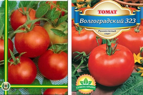Характеристика и описание сорта томата волгоградский скороспелый 323, его урожайность