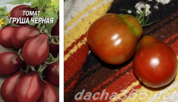 Черные помидоры – сорта с фото и описанием, лучшие, для открытого грунта и теплиц
