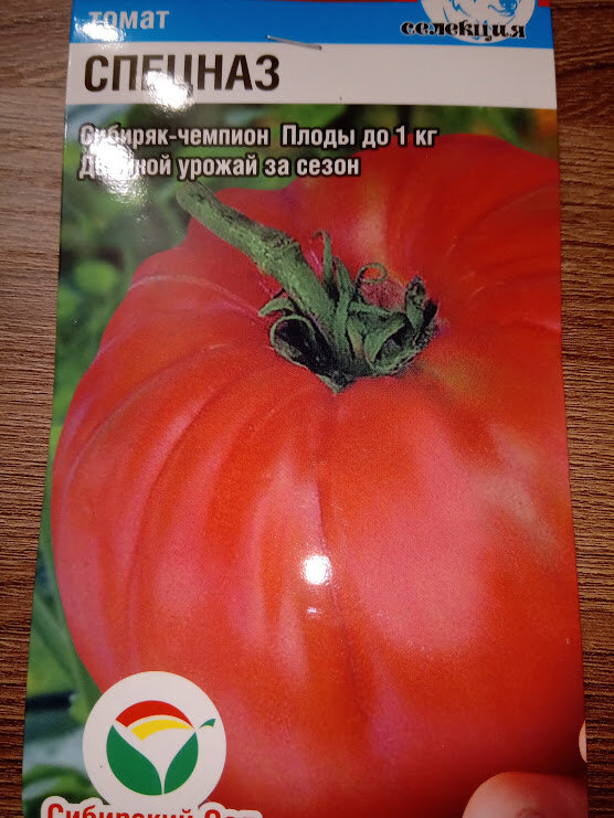 Семена сортов томатов для открытого грунта. Сибирские томаты для теплиц высокоурожайные сорта. Семена помидор крупноплодные. Томат тепличный крупноплодный. Сорта помидор для Сибири семена.