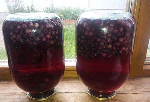 Варенье из черёмухи – 3 рецепта варенья из ягод черемухи на зиму - мы здоровы!