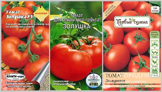 Сорта томатов ультраскороспелые: обзор видов с фото, выращивание и уход