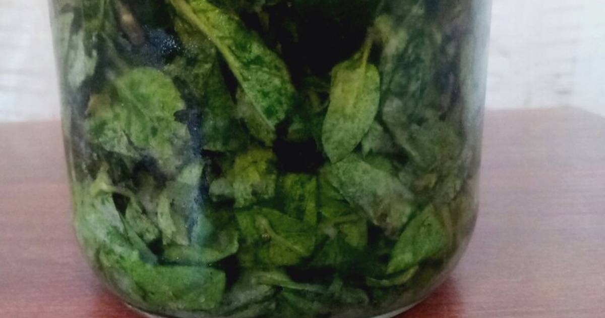 Как хранить базалик в домашних условиях: как сохранить на зиму в свежем виде, сколько хранится в холодильнике
