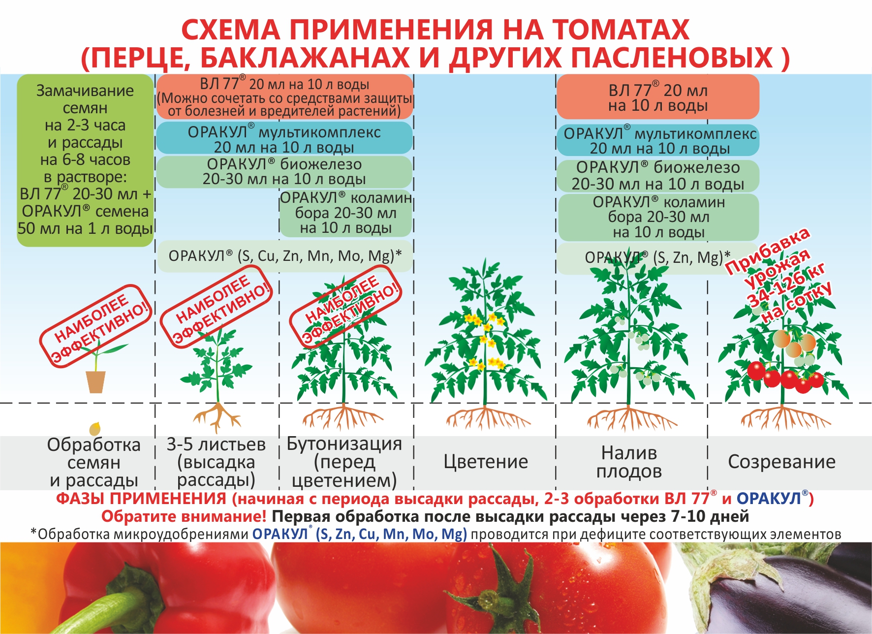 При какой температуре выращивать рассаду помидоров оптимально в домашних условиях, а также каковы требования к минимальному режиму по градусам при посадке томатов? русский фермер