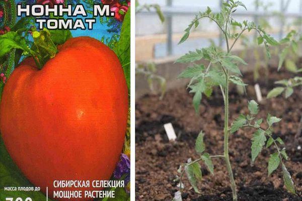 Описание гибридного томата Нонна М, выращивание рассады и уход