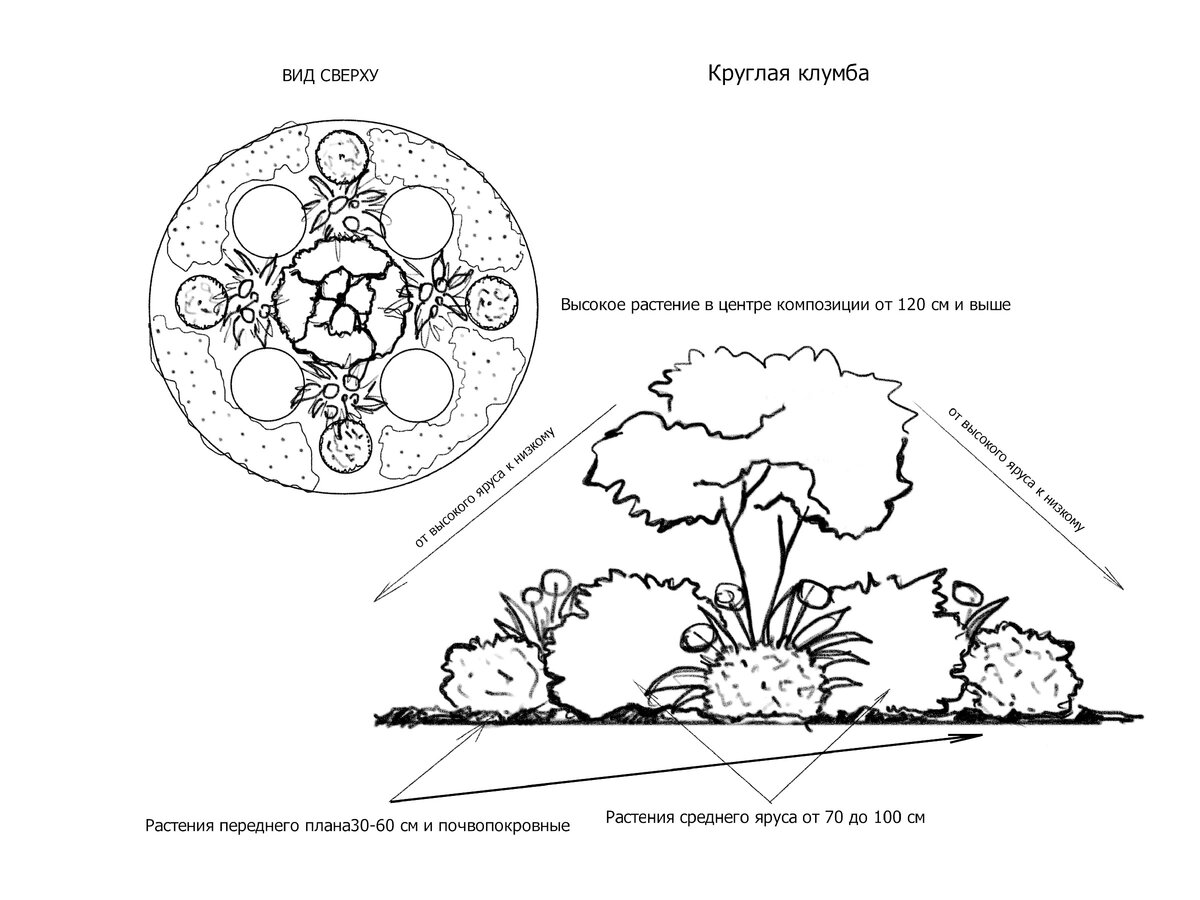 Схемы круглых цветников