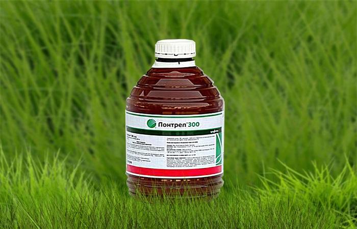 Топ-7 гербицидов для борьбы с полевым хвощом и другие методы против сорняка