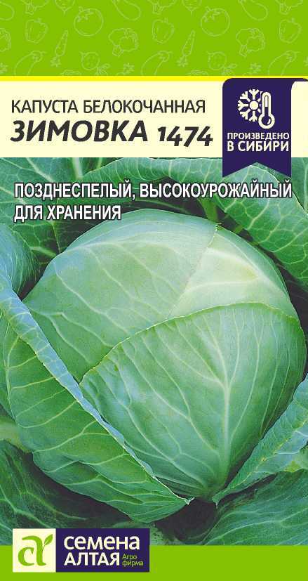 Капуста московская поздняя: описание сорта, фото и характеристики зимнего овоща, все о рассаде белокочанной и уходе за ней, а также о применении в кулинарии