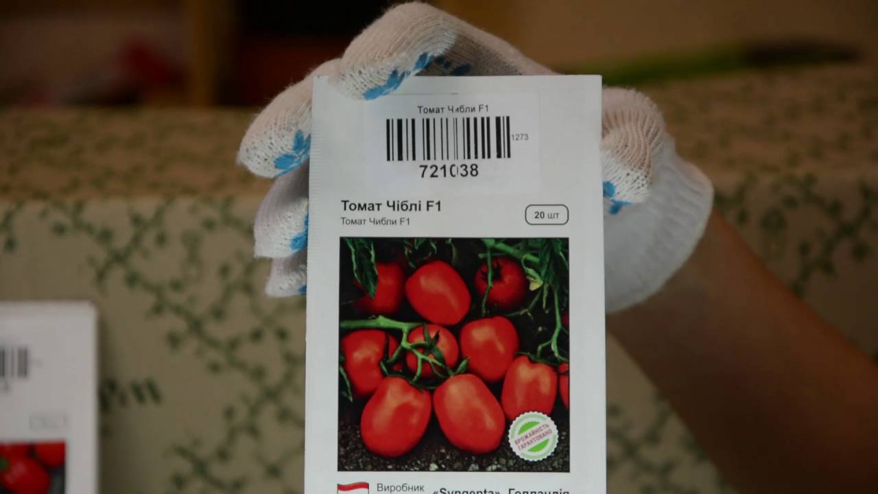 Выращивание томатов: посадка, уход, обработка