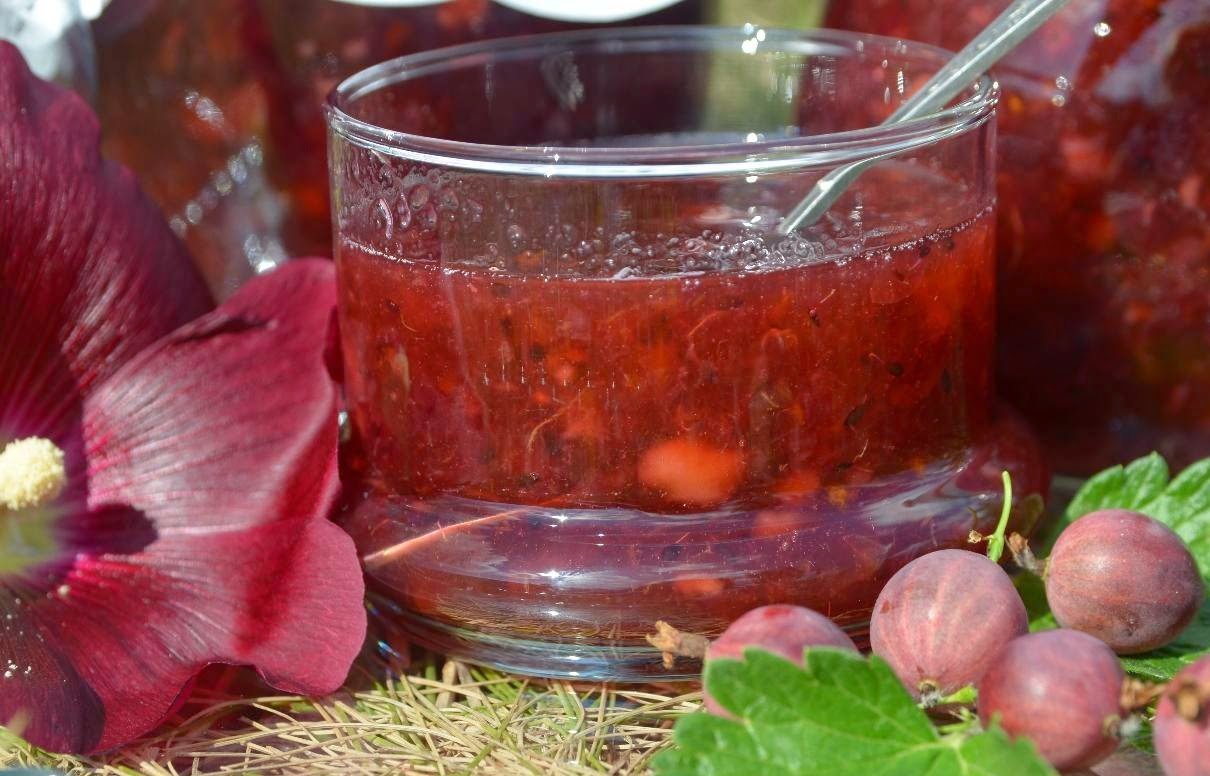 Варенье из красного крыжовника на зиму: 8 рецептов как правильно сварить с фото
