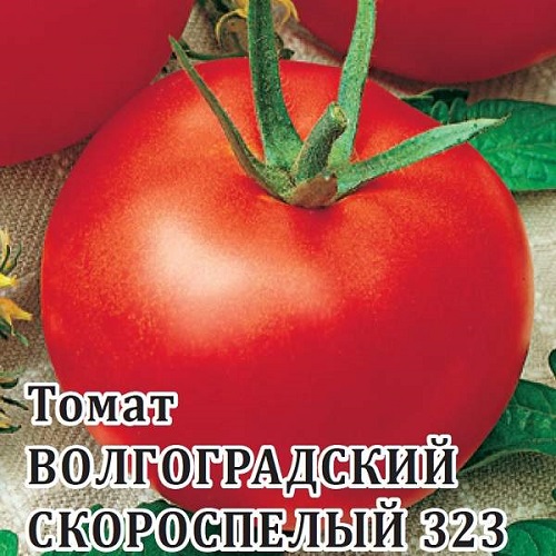 О томате волгоградском: описание и характеристики сорта, уход и выращивание