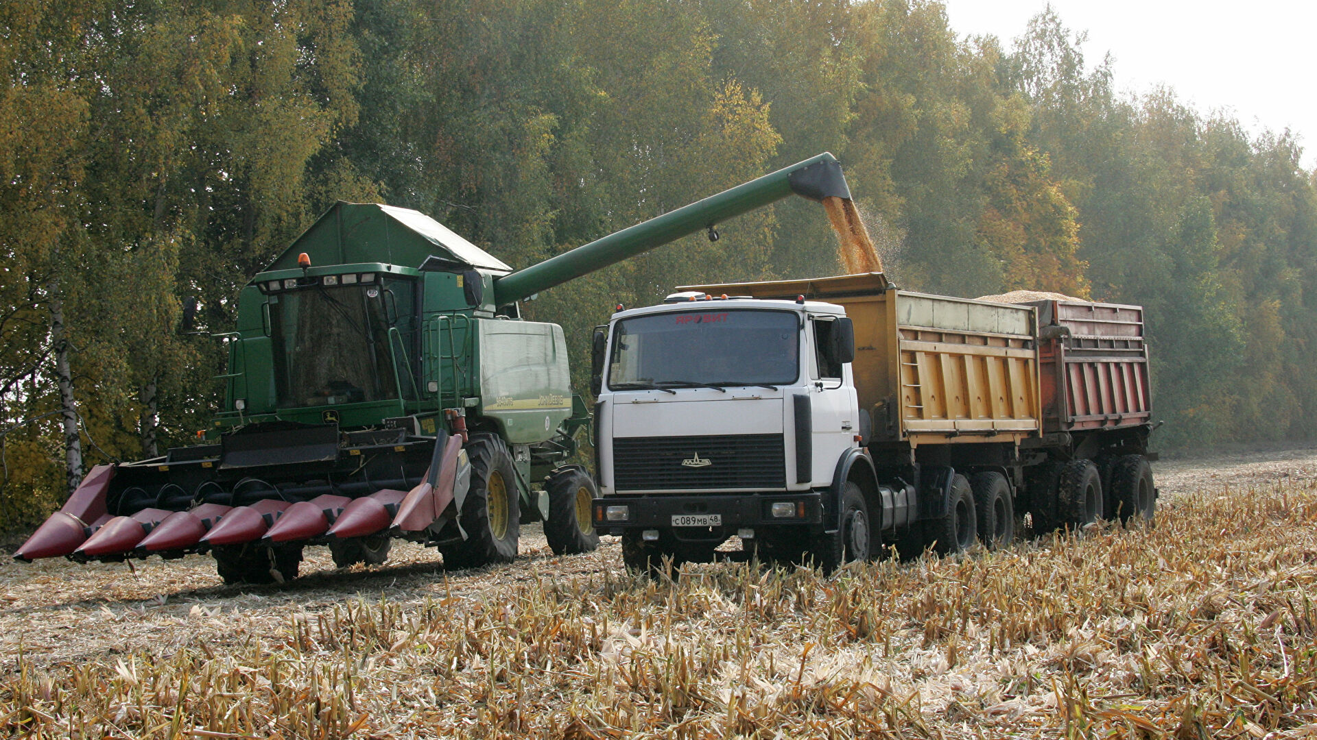 Технология возделывания кукурузы на силос и зеленый корм | fermer.ru - фермер.ру - главный фермерский портал - все о бизнесе в сельском хозяйстве. форум фермеров.