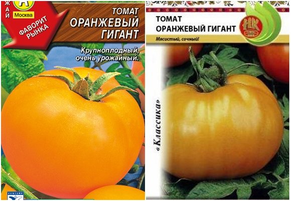 Томат биг биф: описание, отзывы, фото, характеристика. особенности выращивания | tomatland.ru