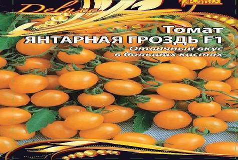 Томат "черная гроздь": описание сорта, характеристики плодов-помидоров, рекомендации по уходу и выращиванию, а так же фото и видео-материалы русский фермер
