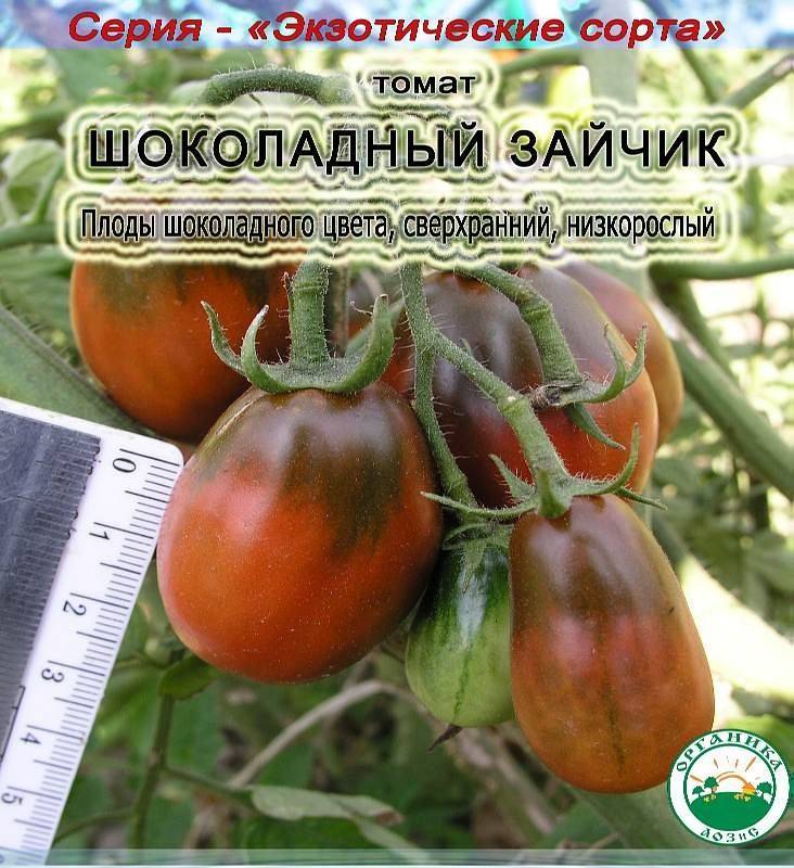Описание яркого томата паленка, выращивание рассады и уход за гибридом