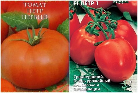 Характеристика и описание сорта томата петр первый, его урожайность - всё про сады