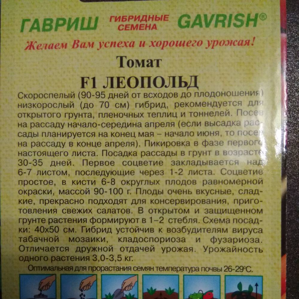 Томат "аленка": описание гибридного сорта f1, фото, рекомендации по выращиванию богатого урожая помидор русский фермер