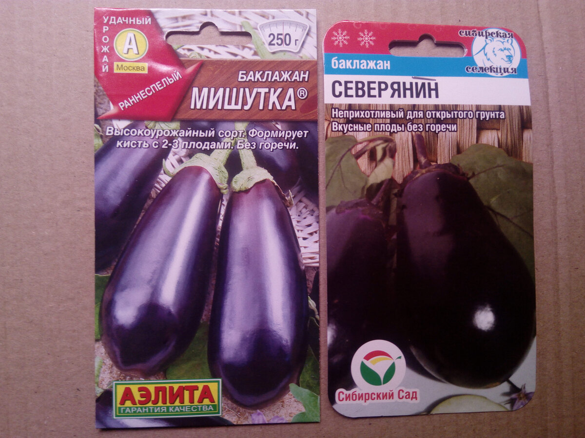 22 сорта баклажанов для посадки и выращивания в теплице и в открытом грунте на sotkiradosti.ru
