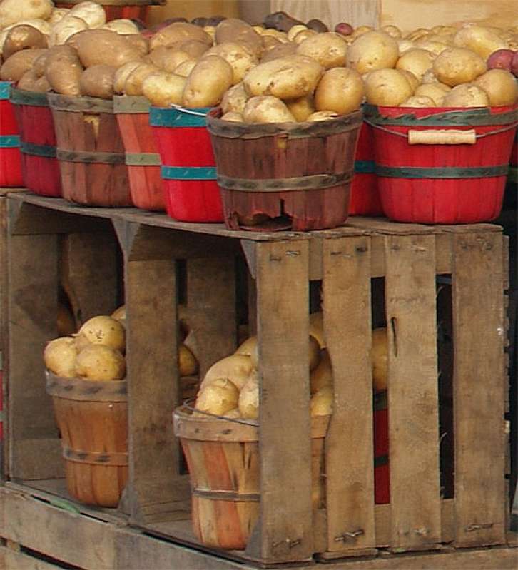 Как хранить картошку зимой в квартире и погребе: правила и лучшие способы, сроки