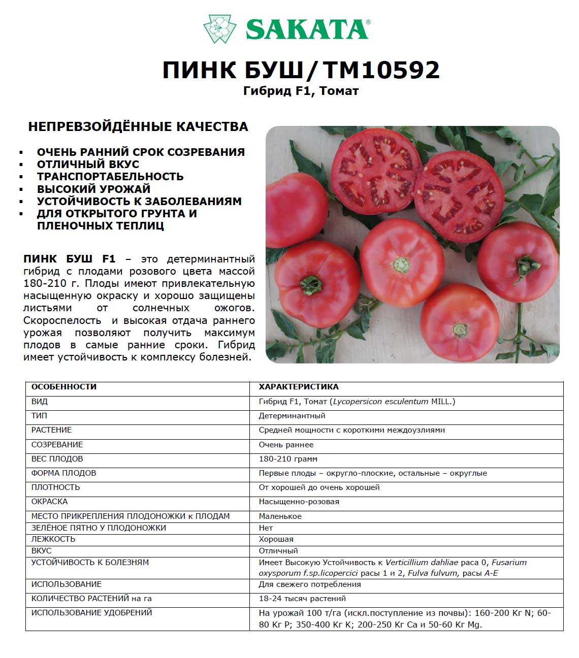 Томат "пинк гел f1": характеристика и описание сорта помидор с фото кустов, отзывы об урожайности