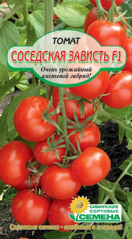 Характеристика томата шива f1, технология культивирования и отзывы овощеводов