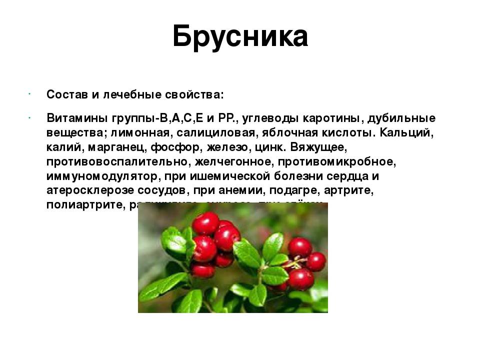 Как правильно употреблять куркуму: безопасная суточная доза, полезные свойства, противопоказания - новости yellmed.ru
