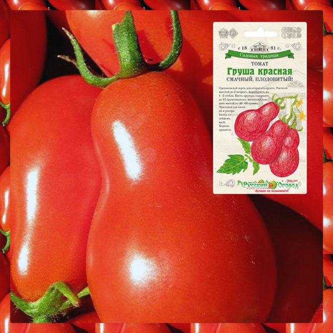 Самые урожайные томаты подмосковья. Томат Ретана f1. Томаты Кировской селекции. Семена помидор для теплицы самоопыляемые низкорослые. Томат тепличный крупноплодный.