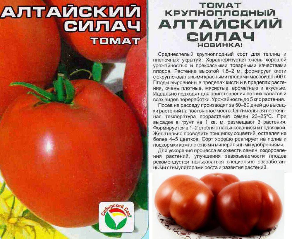 Томат дробленое сердце: описание и характеристика сорта, отзывы, фото, урожайность | tomatland.ru