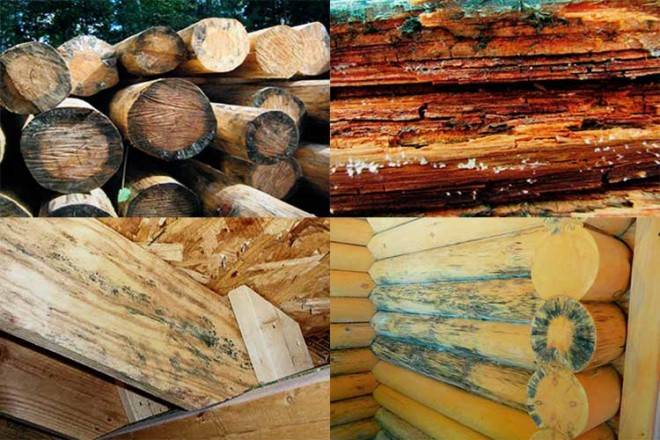 Защита древесины от огня: пропитка и огнезащитные составы