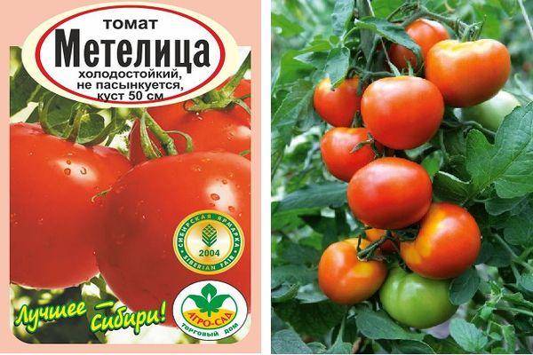 Описание селекционного томата Метелица и советы по выращиванию сорта
