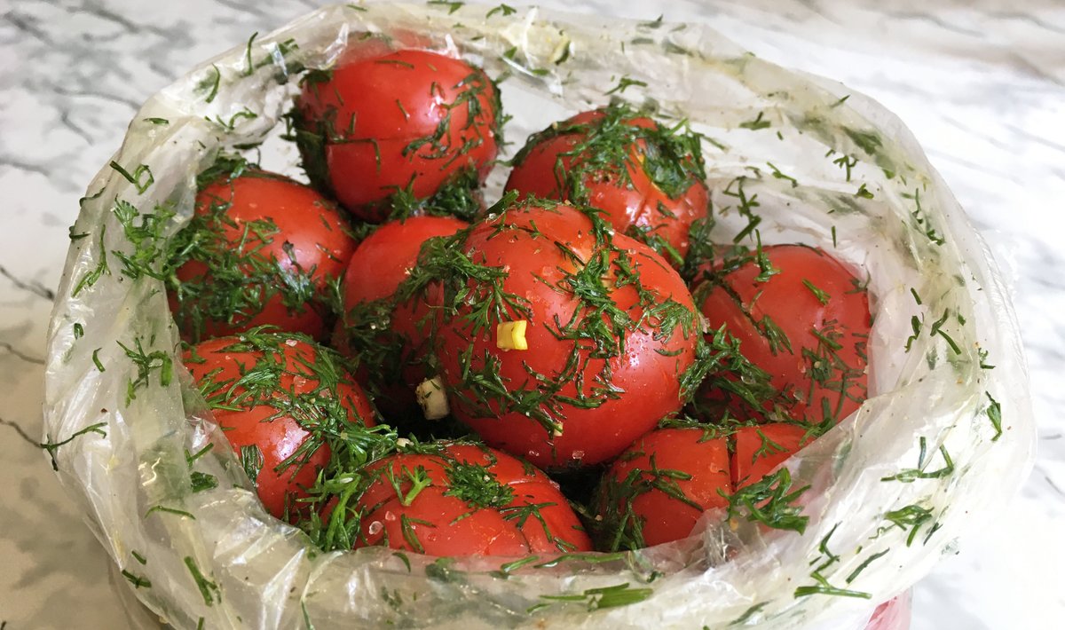 Соленые помидоры быстрого приготовления: 13 вкусных рецептов на зиму