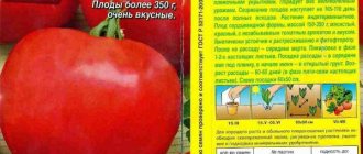 Характеристика и описание помидора “катя”, отзывы и фото