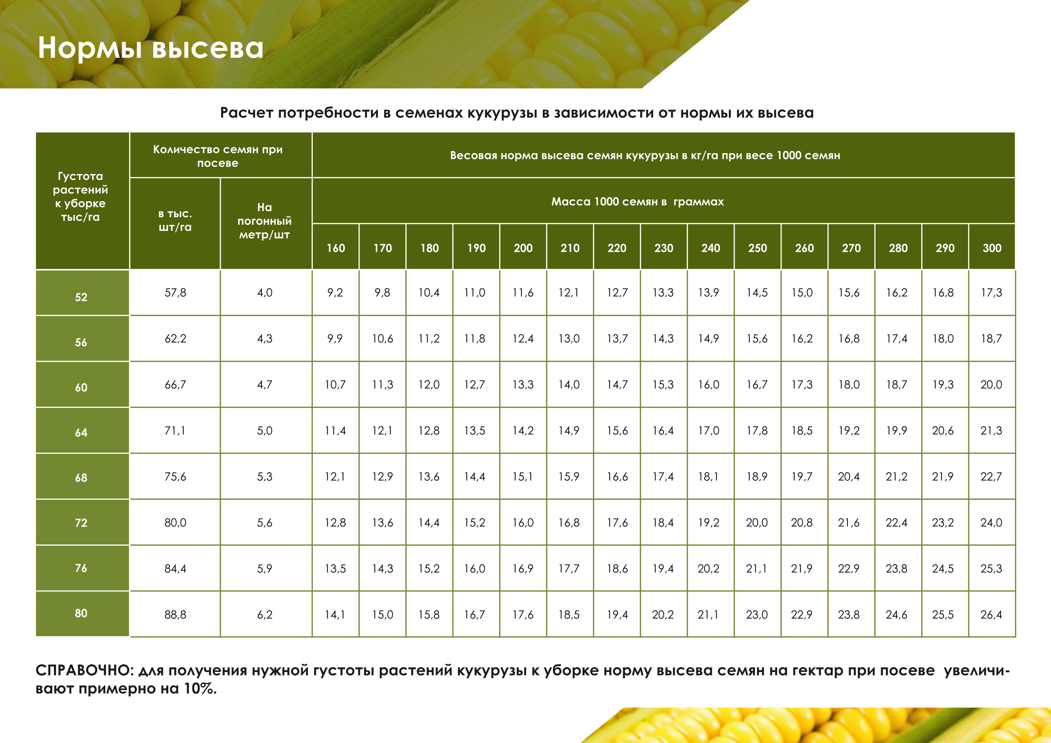 Какое расстояние между семенами. Нормы высева подсолнечника таблица. Таблица высева семян кукурузы. Таблица норм высева кукурузы. Норма семян кукурузы на 1 га.