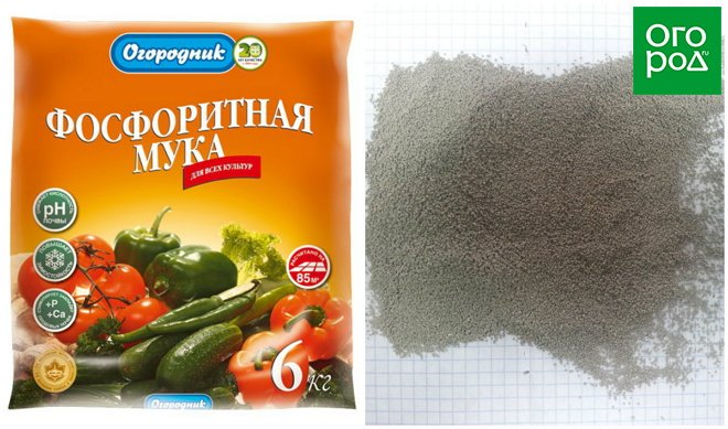 Удобрение фосфоритная мука - применение, состав, свойства, инструкция, костная или нет - почва.нет